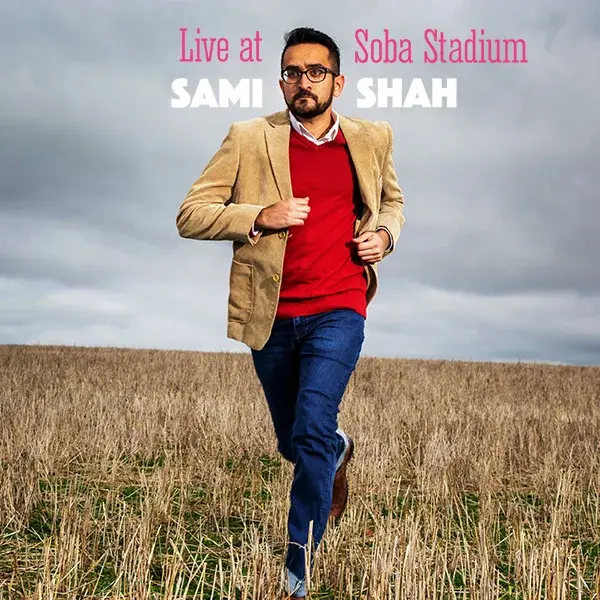 Punching Down comedy album cover